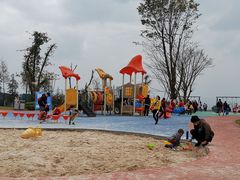 -铁山坪森林公园