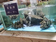 -旺顺阁海鲜广场(亚运村店)