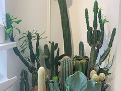 -收获咖啡HARVEST RESERVE(苍山店)