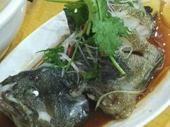 石斑鱼-南海渔家•海鲜•正宗海南菜(海棠湾店)