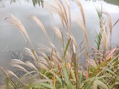 -贵阳蓬莱仙界