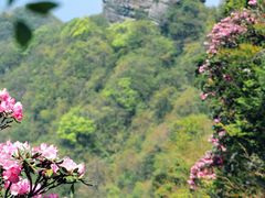 -光雾山旅游景区