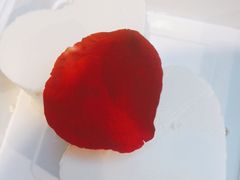 -豆花姐烂豆花火锅(水屯北路恒大滨河店)
