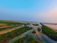 -北海金海湾红树林生态旅游区