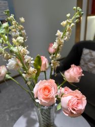 -MIDA蜜哒•科技逆龄美肤连锁