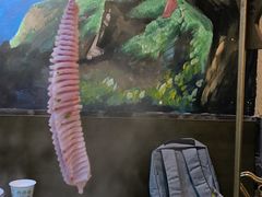 -土著渔匠·养生蝴蝶鱼(香樟路店)