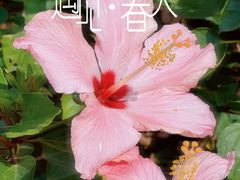 -洲头咀公园