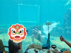 -海棠湾洲际-涛·海底餐厅·美人鱼·自助餐·海底隧道
