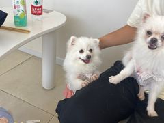 -怪兽屋·羊驼·猫咖·狗咖(俊华广场店)