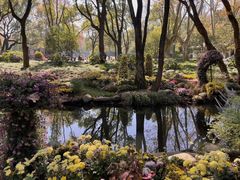 -上海共青森林公园