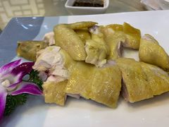 白切文昌鸡-墨脱石锅椰子鸡•香草鸭•东山羊(大东海店)