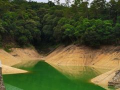 -广州市流溪河国家森林公园