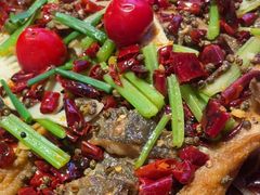 -老板恋上鱼(恒隆广场店)