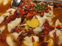 自贡大麻鱼-懒人盐府人家(航天桥店)