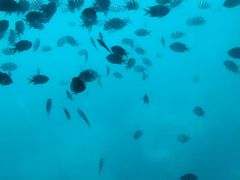 -亚龙湾海底世界