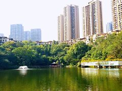 -重庆彩云湖湿地公园