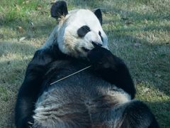 -无锡动物园·太湖欢乐园