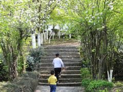 -白马涧龙池景区