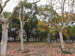 -东华大学(松江校区)