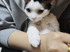 -长顺参鸡汤店(西塔总店)