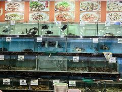 -源海渔村·现捞海鲜(大角湾店)