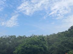-广州长隆飞鸟乐园