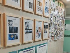 -半岛宠物医院24小时·内窥镜·牙科·碎石中心(府城大道店)