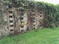 -无影脚佛山陈氏盲公丸始创店(飞鸿街店)