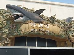 -秦皇岛乐岛海洋王国