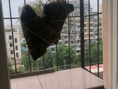 -北京稻香村(朝阳北路店)