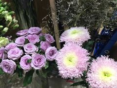 -谷莠子花艺·气球派对·绿植造景·花艺沙龙(金光华广场店)