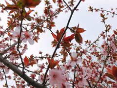 -堤角公园