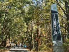 -青龙山国家森林公园