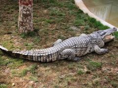 -西霞口神雕山野生动物世界