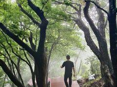 -三块石国家森林公园