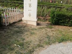 -曹州牡丹园
