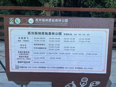 -西双版纳原始森林公园