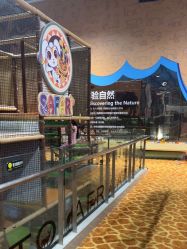 -卡通尼·Safari非洲探索乐园·生日会(金桥国际商业广场店)