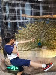 -酷嗒动物文化乐园(cutezoo西溪乐天城店)