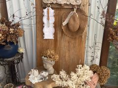 -Jo's Garden