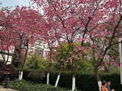 -昆明动物园