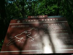 -九曜山