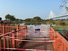 -芒洲湿地公园