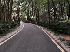 -东湖落雁景区