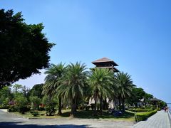 -大湾区中央湿地公园