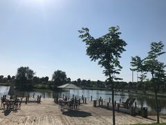 -明珠湖天鹅苑·农家菜馆