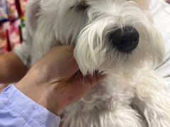 -FAELING PETS美天灵宠物(合生汇店)