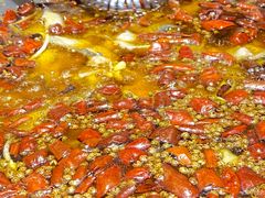 -雲蜀龙阁·金牌水煮鱼(方庄店)