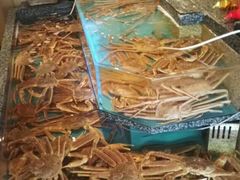 -蟹道乐(道顿堀本店)