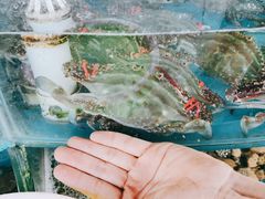 -京秀缘蒸汽海鲜农家菜大馅蒸饺